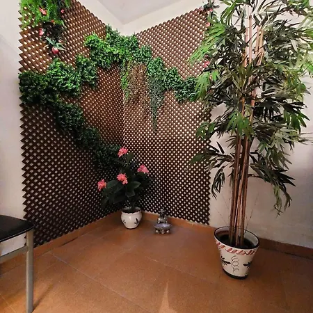 Apartamento Pritty Baltico Torrevieja